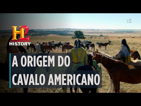 A origem do cavalo americano | A GRANDE HISTÓRIA | HISTORY