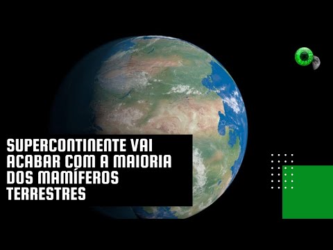 Supercontinente vai acabar com a maioria dos mamíferos terrestres