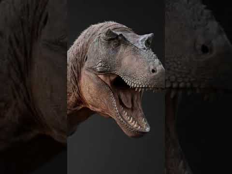 Tiranossauro rex era tão inteligente quanto um babuíno, sugere pesquisadora  brasileira