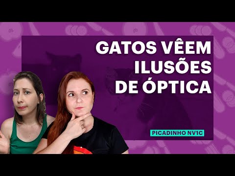 A ciência do comportamento animal: tubarões e gatos!