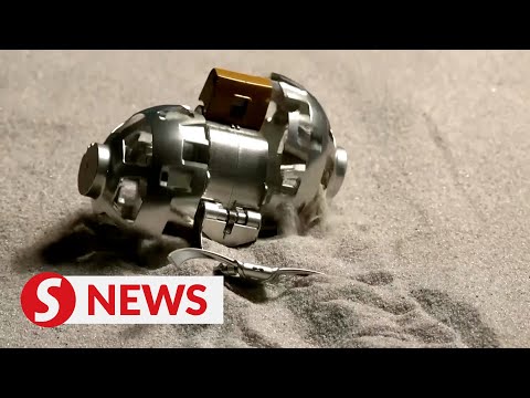 Japanese toymaker introduces mini lunar exploration robot
