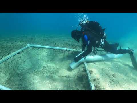 Cesta stara 7.000 godina u podmorju kod Koručule