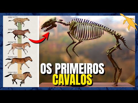 ORIGEM e EVOLUÇÃO dos CAVALOS (EQUIDAE)