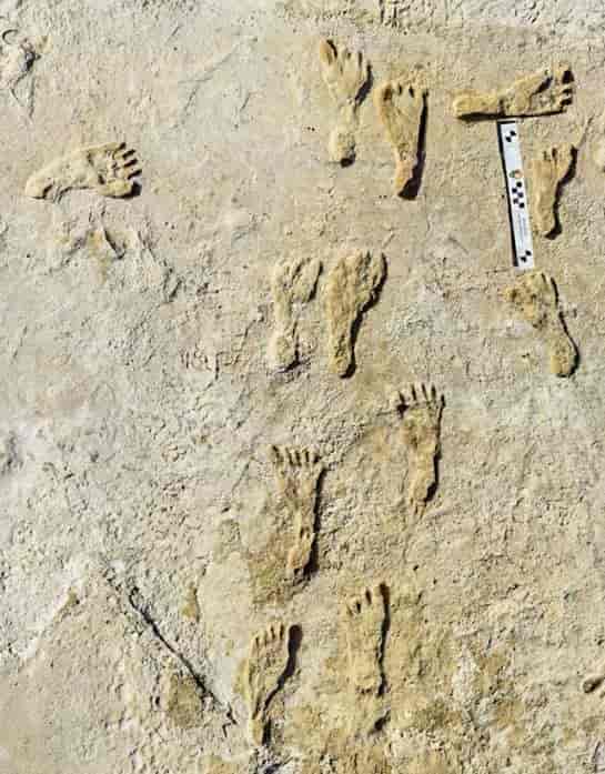 Pegadas fossilizadas do parque White Sands