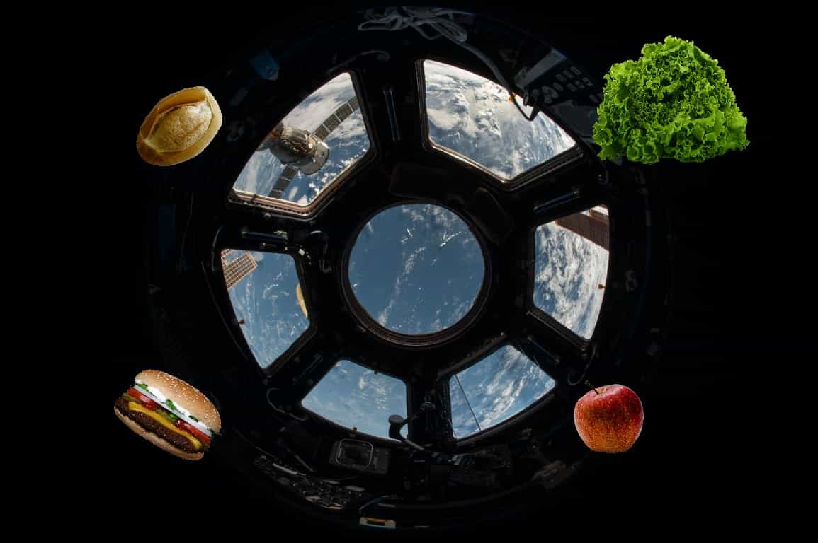 NASA oferece US$ 1 milhão por ideias inovadoras de produção de alimentos no espaço (Fase 2) - 