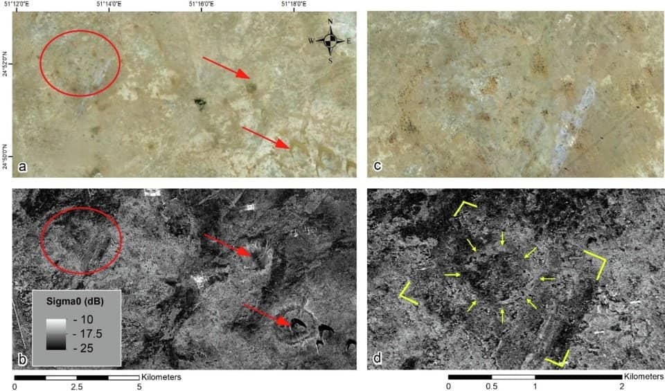 (A)  e (C) imagens ópticas dos satélites. (B) e (D) imagens processadas de radar do satélite ALOS-2. A estrutura retangular aparece apenas na imagem processada de radar.