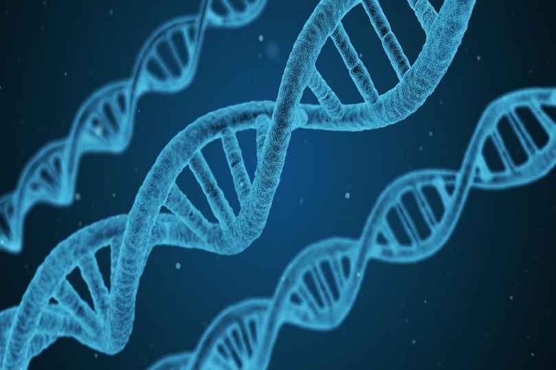 Genoma humano é completamente sequenciado pela primeira vez - 