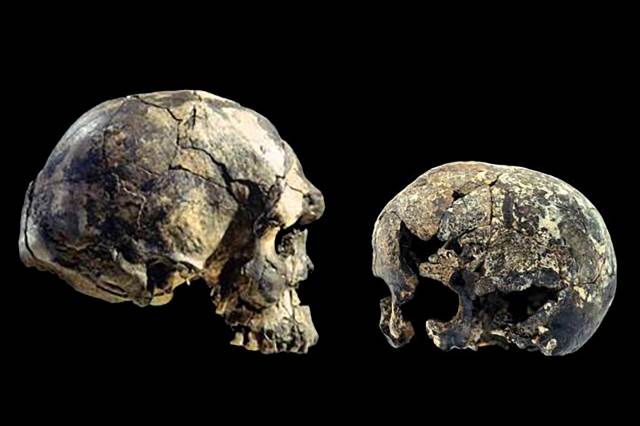 O crânio humano mudou bastante nos últimos 160.000 anos, mas não pelo motivo que imaginávamos - 