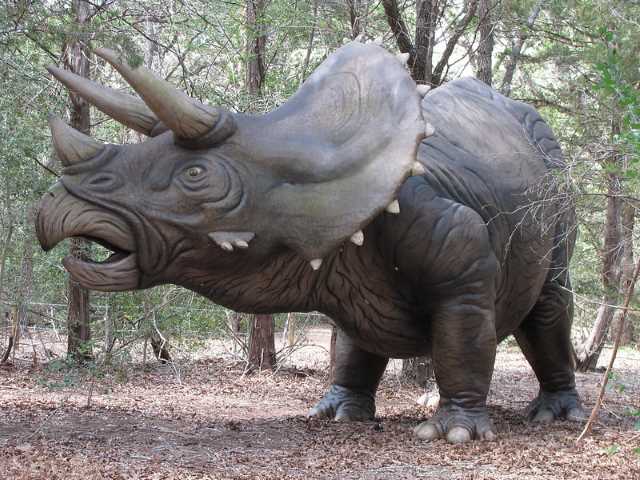 Buraco no crânio do triceratops “Big John” provavelmente é oriundo de um combate - Triceratops.
