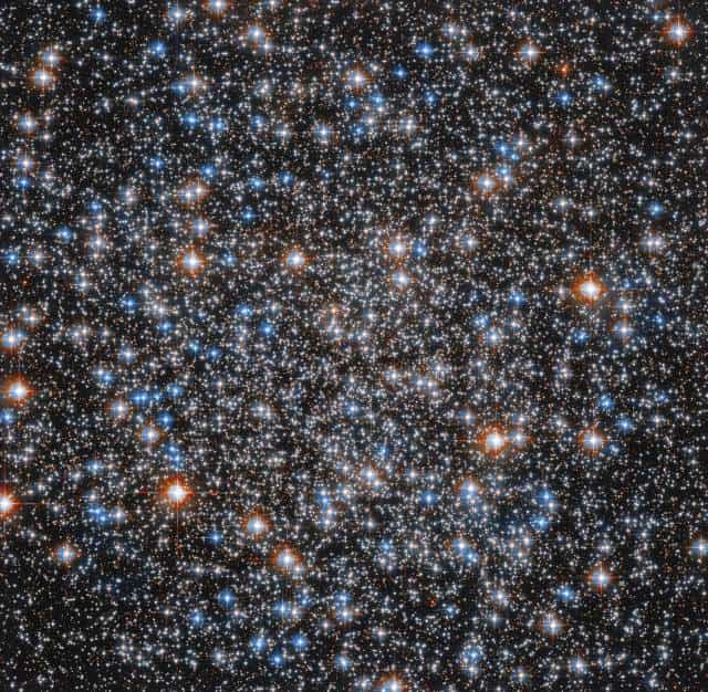 A imagem obtida pelo Hubble mostra apenas uma parte do aglomerado M55, que parece esférico por causa da intensa atração gravitacional das estrelas aproxima.