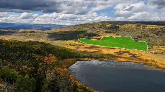 Pando, o maior organismo do mundo, corre risco de desaparecer - 