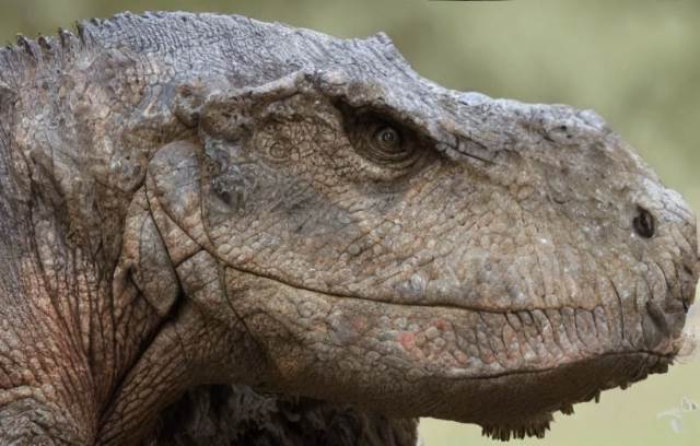 T. rex sem boca fechada sem dentes