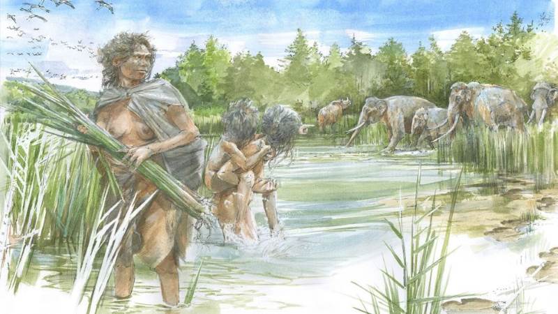 Pegadas de 300.000 anos revelam crianças primitivas brincando entre elefantes gigantes e rinocerontes - Arte de Homo heidelbergensis na beira de um lago com a família.