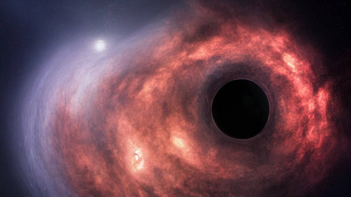Buraco negro feroz consome estrela o equivalente a 3 Terras cada vez que passa - 