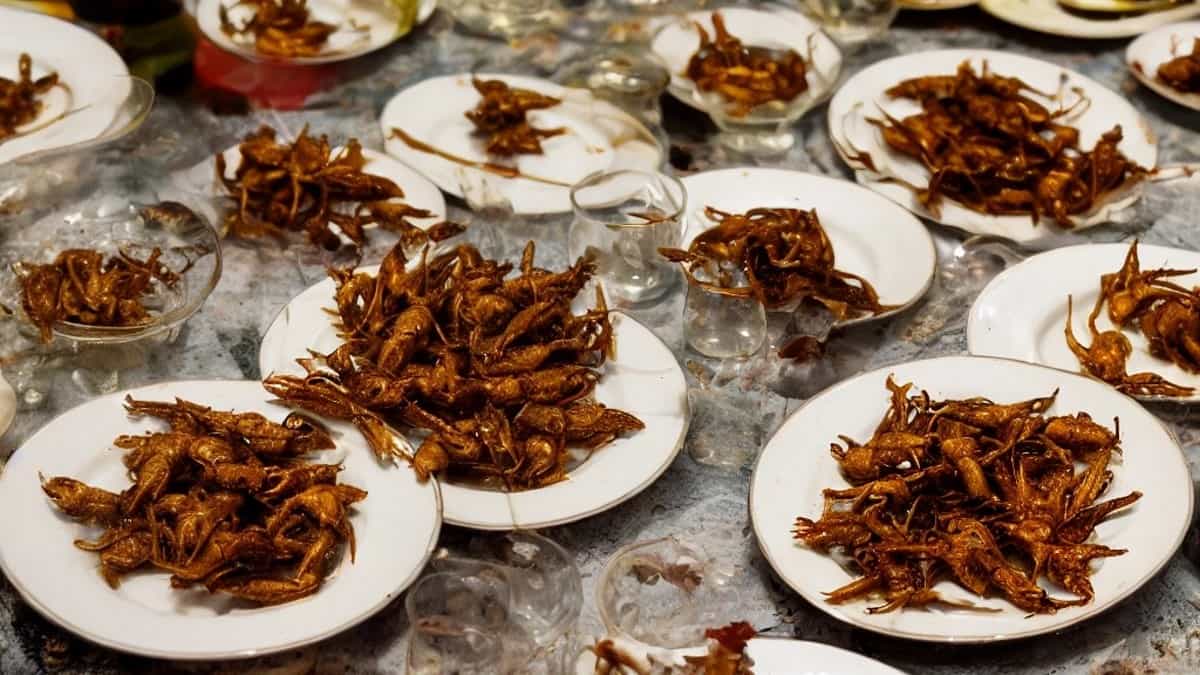 Comer insetos faz bem para o metabolismo, sugere estudo - 